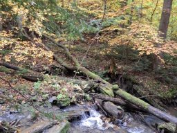 56631835612823988903547231621741326683991166n